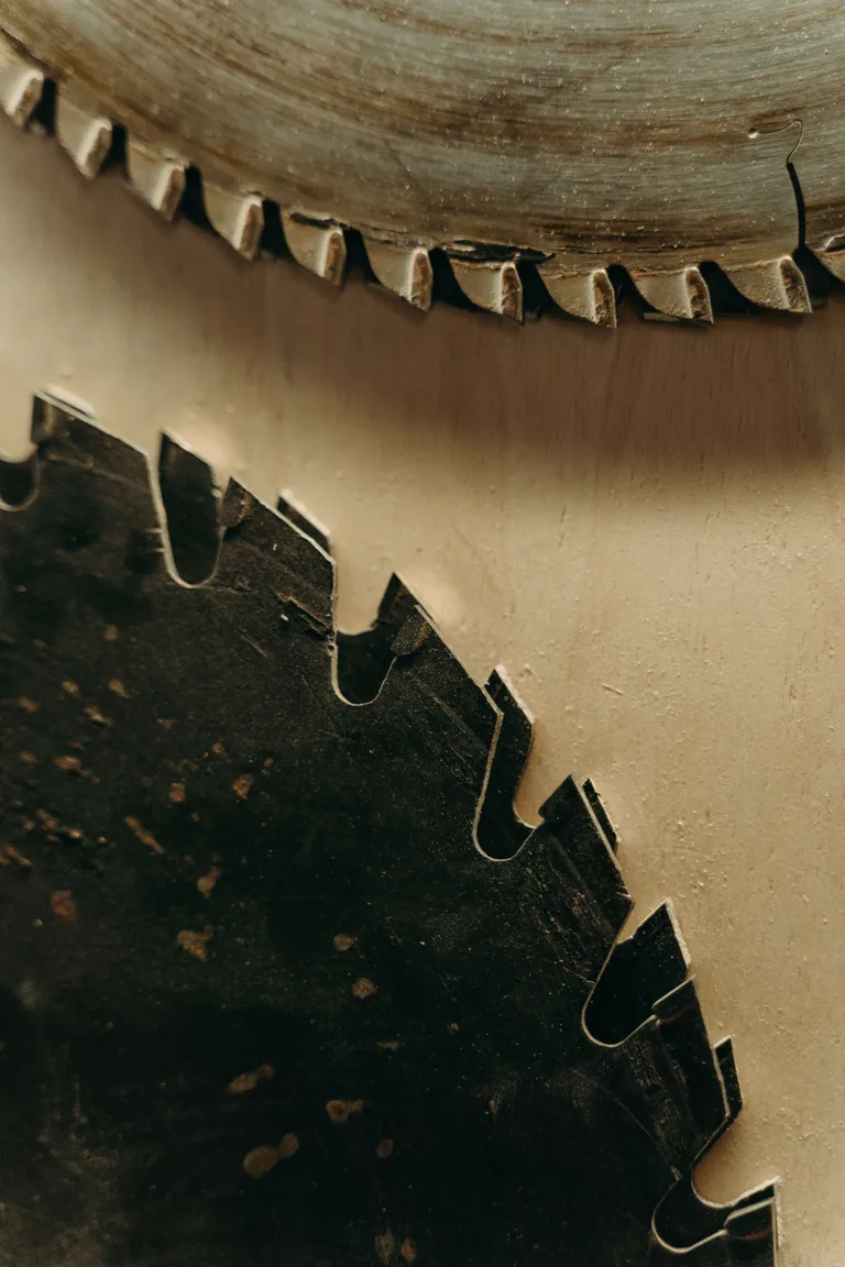 Close view of two circular saw blades and their cutting teeth